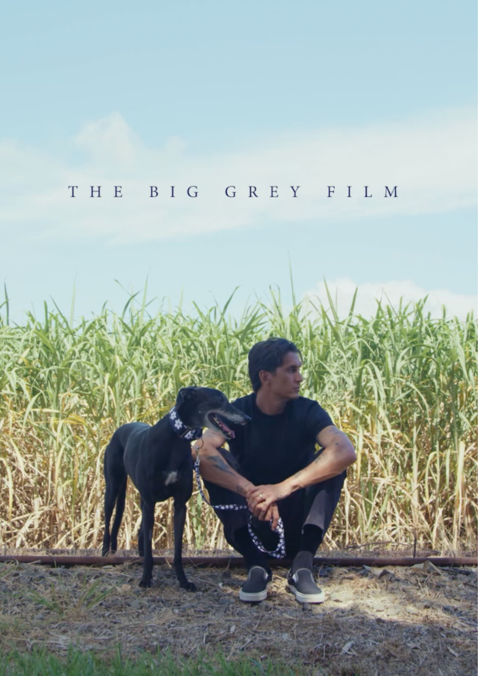 The Big Grey Film, poster
